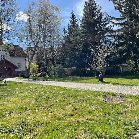 Brzozowy Gaj 3* Карпач