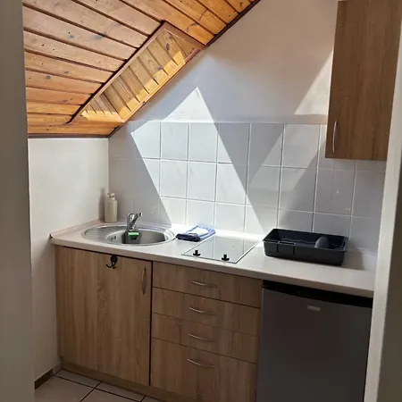 Casa de hóspedes Brzozowy Gaj 3*