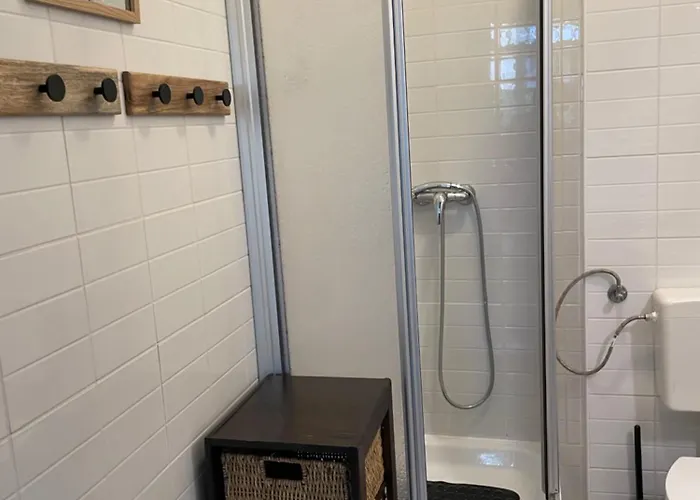 Brzozowy Gaj 卡尔帕奇