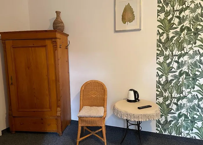 Brzozowy Gaj 招待所 3*