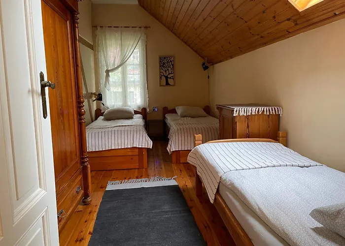 Brzozowy Gaj 卡尔帕奇