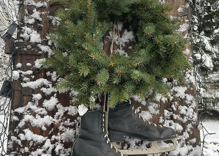 招待所 Brzozowy Gaj 卡尔帕奇