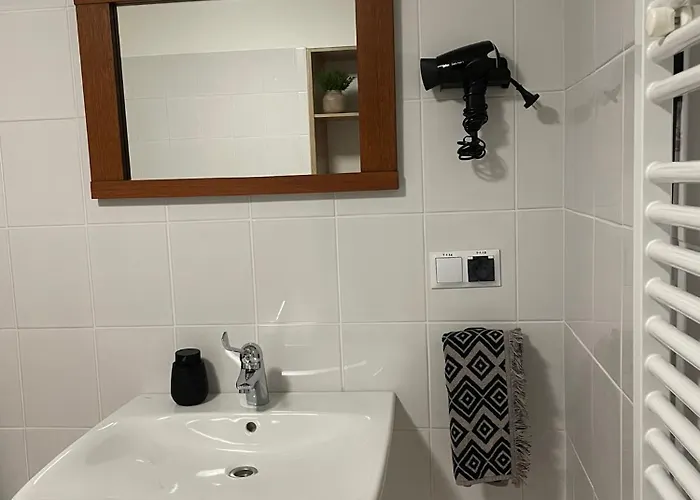 Brzozowy Gaj 招待所